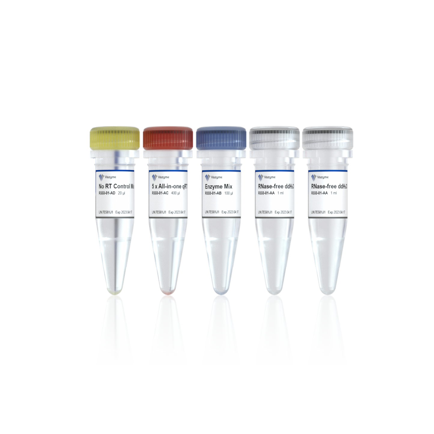 HiScript III All-in-one RT SuperMix Perfect for qPCR