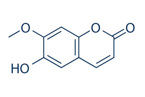 Isoscopoletin