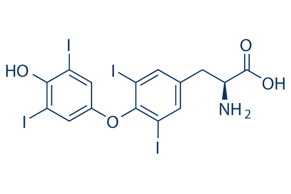 L-Thyroxine (Levothyroxine)