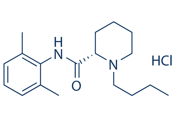 Levobupivacaine HCl