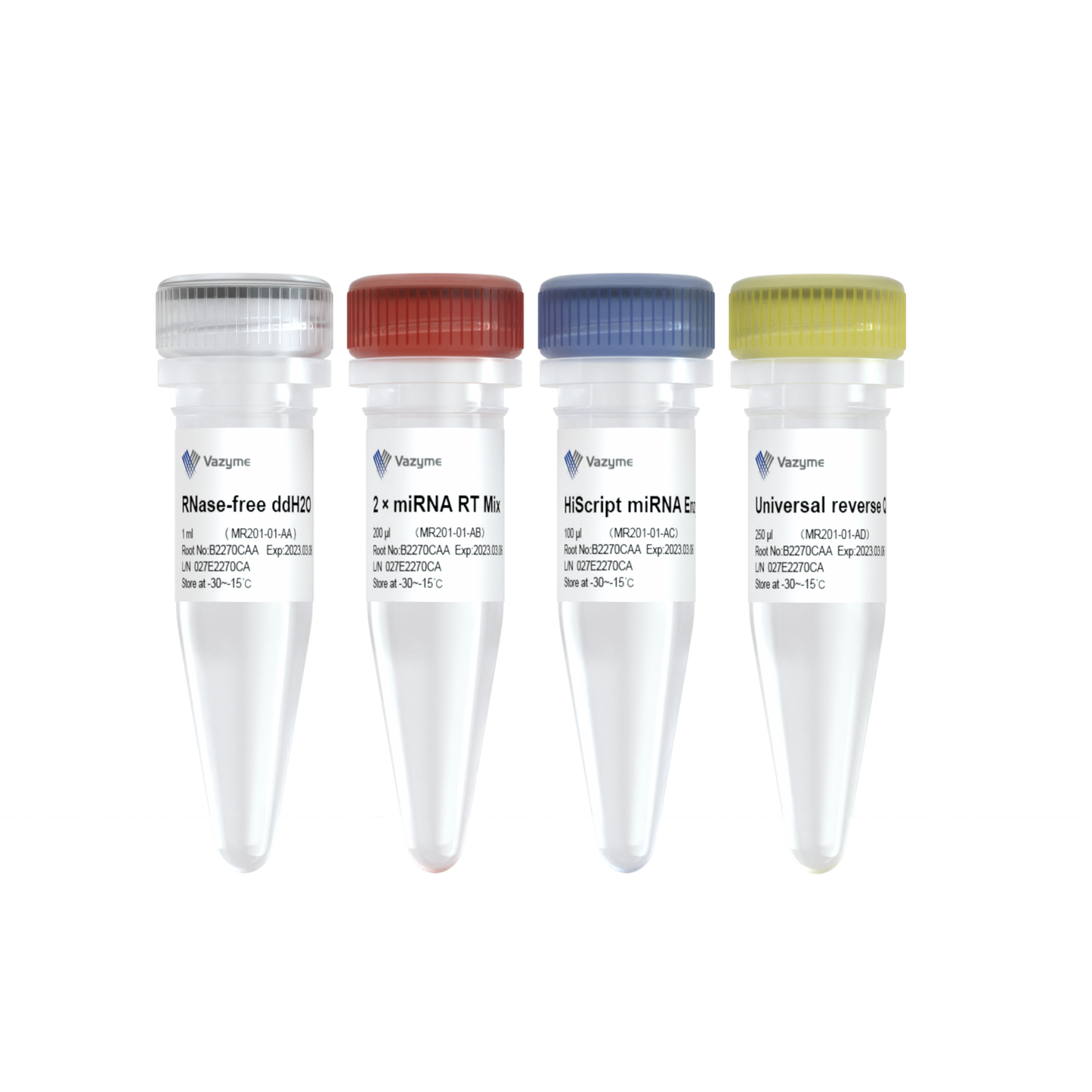 miRNA 1st Strand cDNA Synthesis Kit (by Tailing A)
