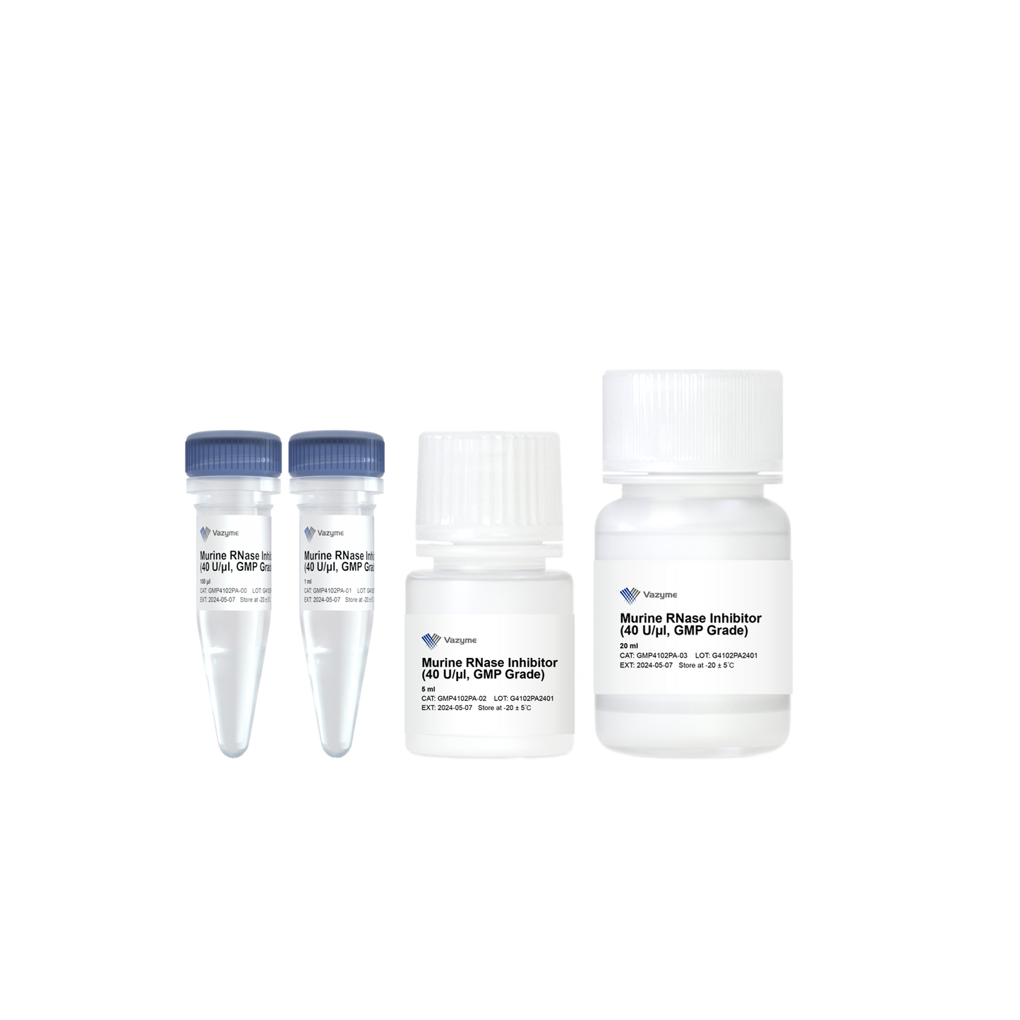 Murine RNase Inhibitor