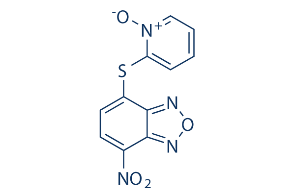 NSC228155