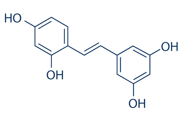 Oxyresveratrol