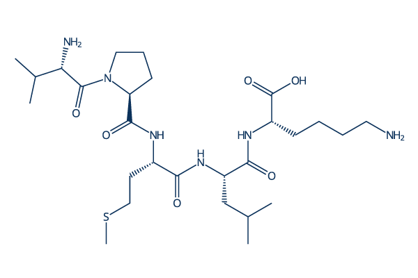 Bax inhibitor peptide V5