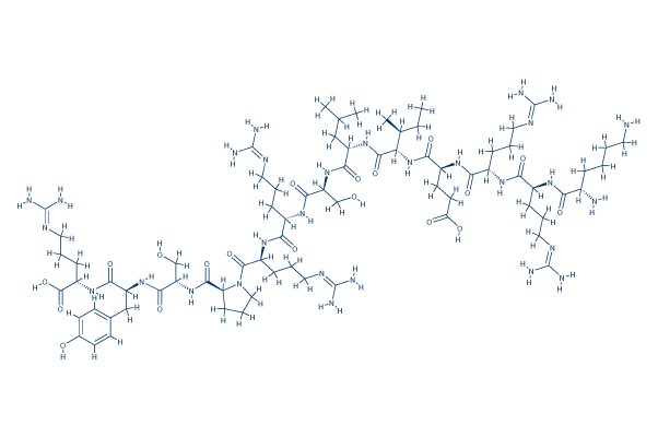 CREBtide