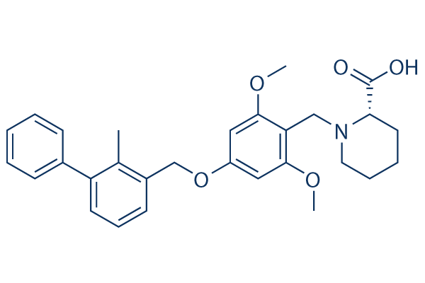 BMS-1