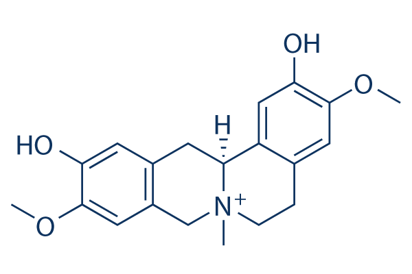 Phellodendrine