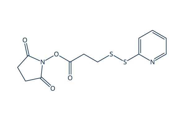 SPDP