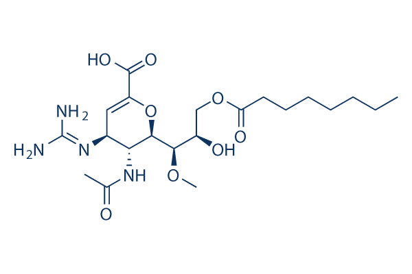 Laninamivir Octanoate
