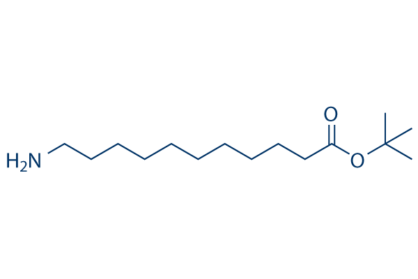 tert-Butyl 11-aminoundecanoate