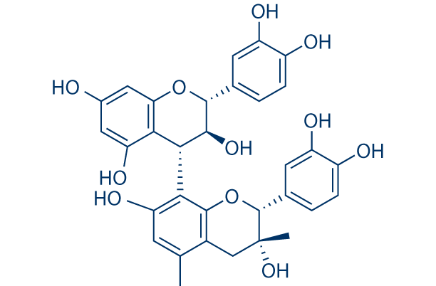 Grape Seed Extract