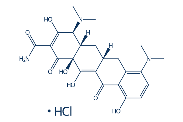 Minocycline Hydrochloride