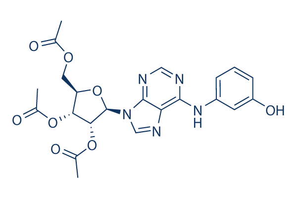IMM-H007