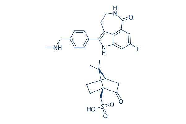 Rucaparib Camsylate