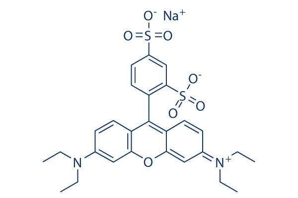 Sulforhodamine B sodium salt
