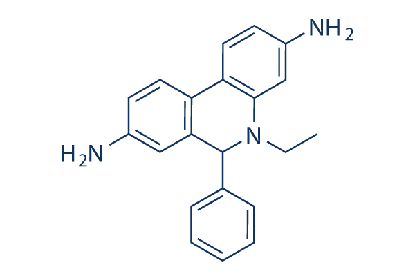 Dihydroethidium