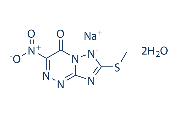 Triazavirin (TZV)
