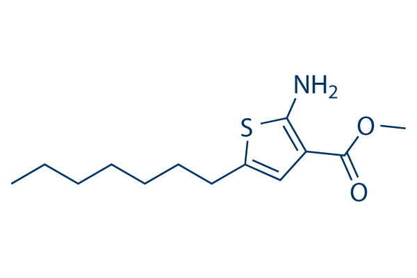 TJ191