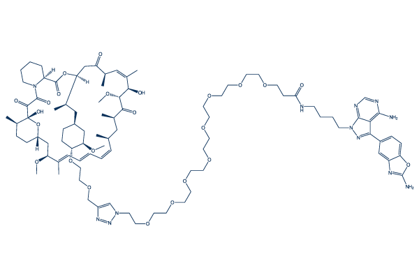 RapaLink-1
