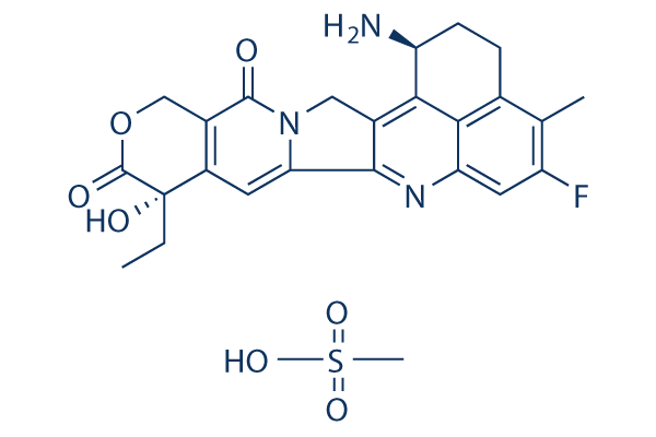 Exatecan Mesylate