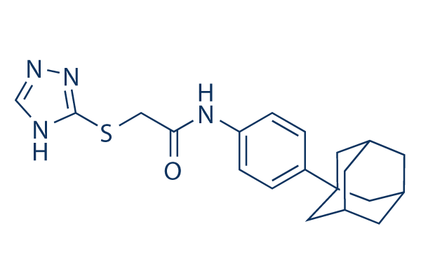 MGH-CP1