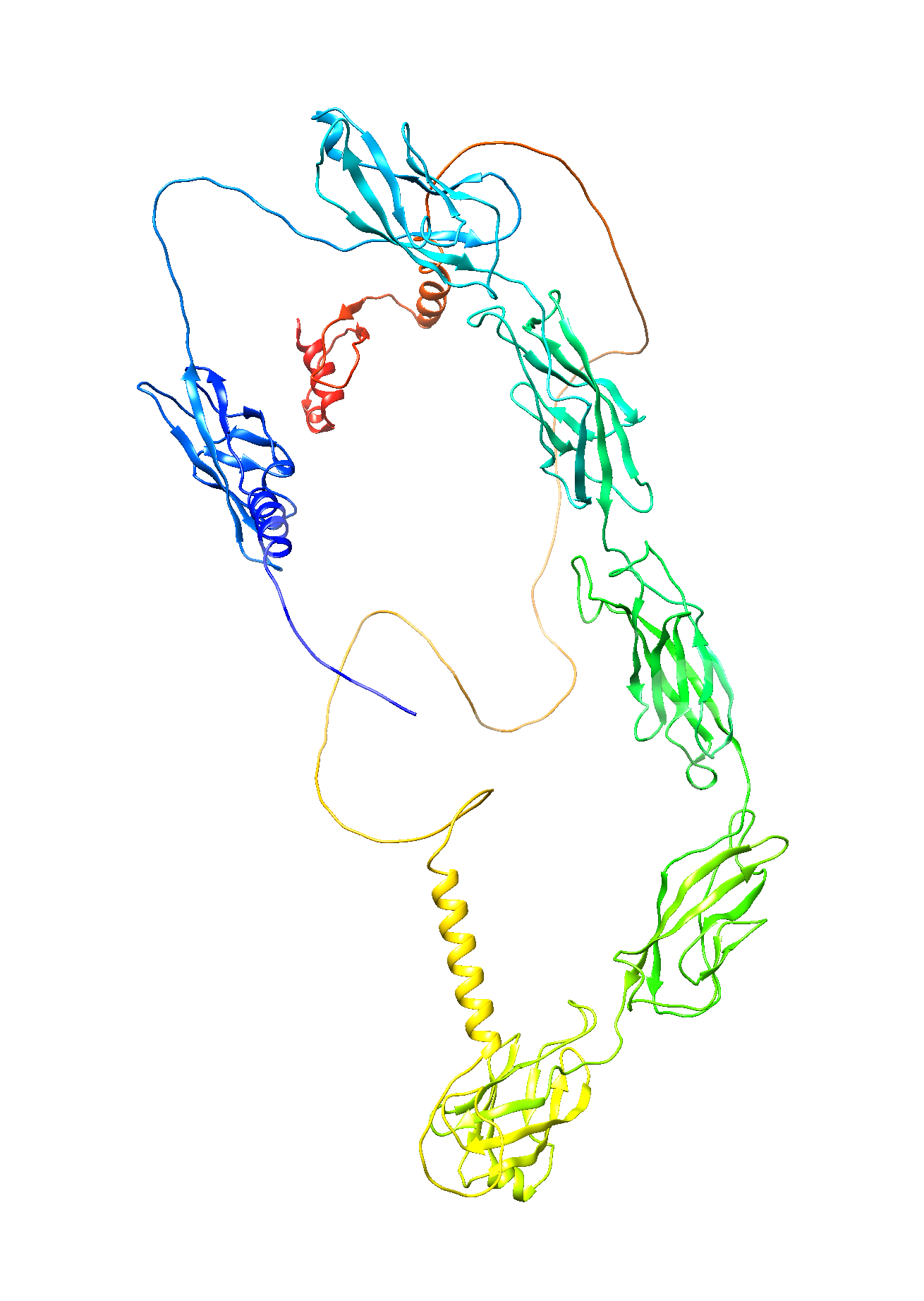 Desmocollin-2 (DSC2) (Extracellular) (Human) Antibody - FFPE Validated