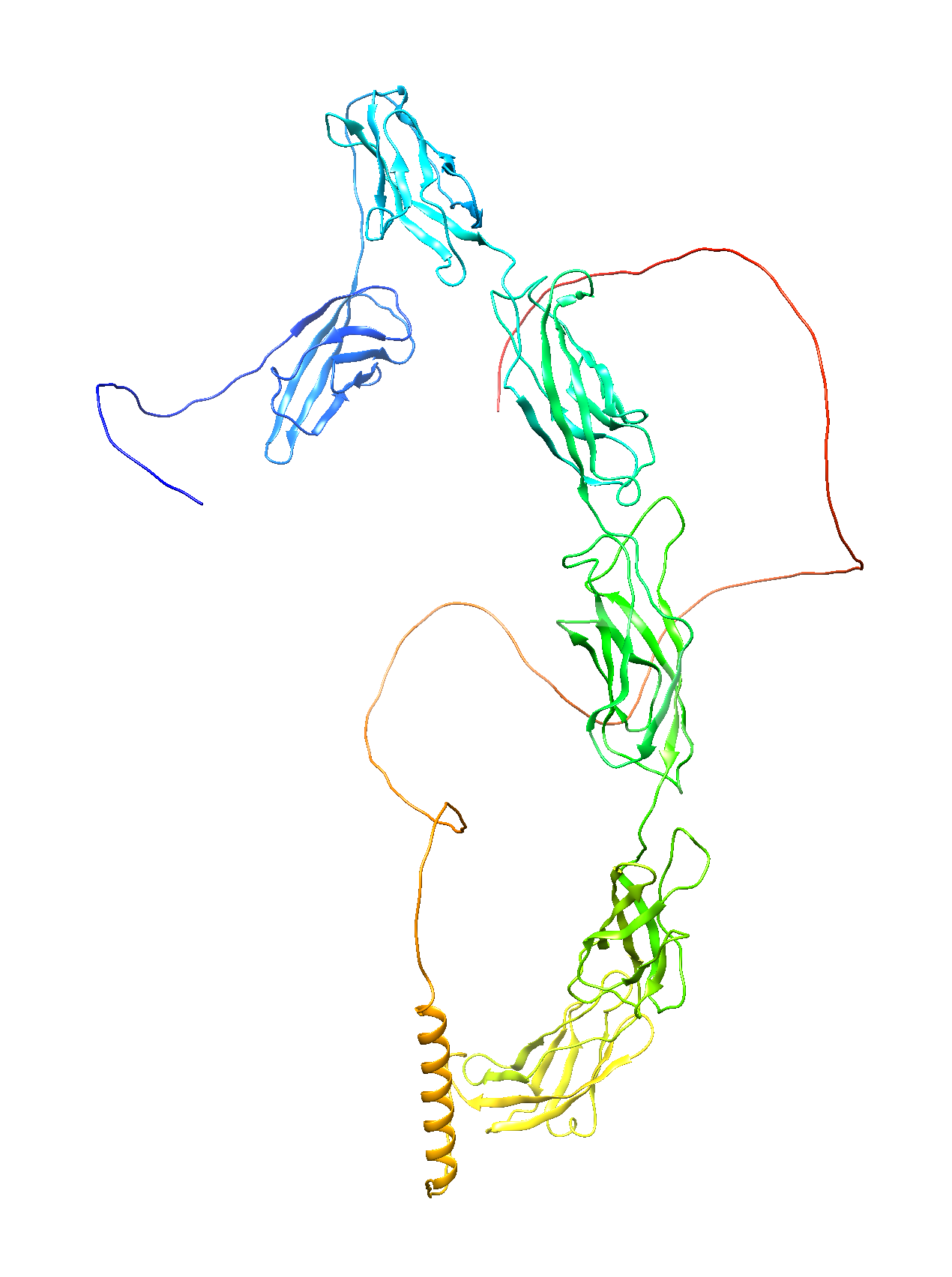 Desmocollin-1 (DSC1) (Extracellular) (Human) Antibody - FFPE Validated