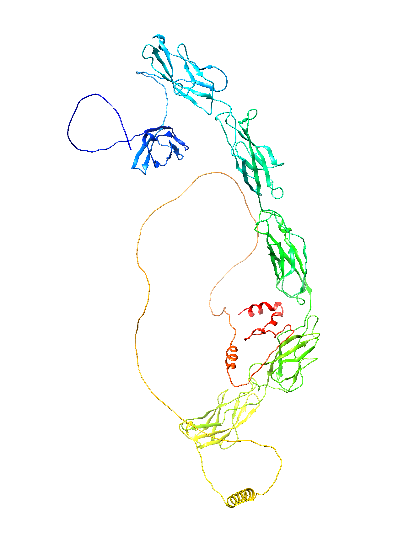 Desmocollin-3 (DSC3) (Extracellular) (Human) Antibody - FFPE Validated