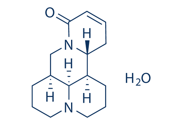 Sophocarpine Monohydrate