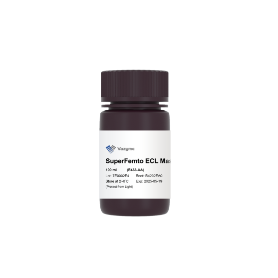 SuperFemto ECL Master Mix
