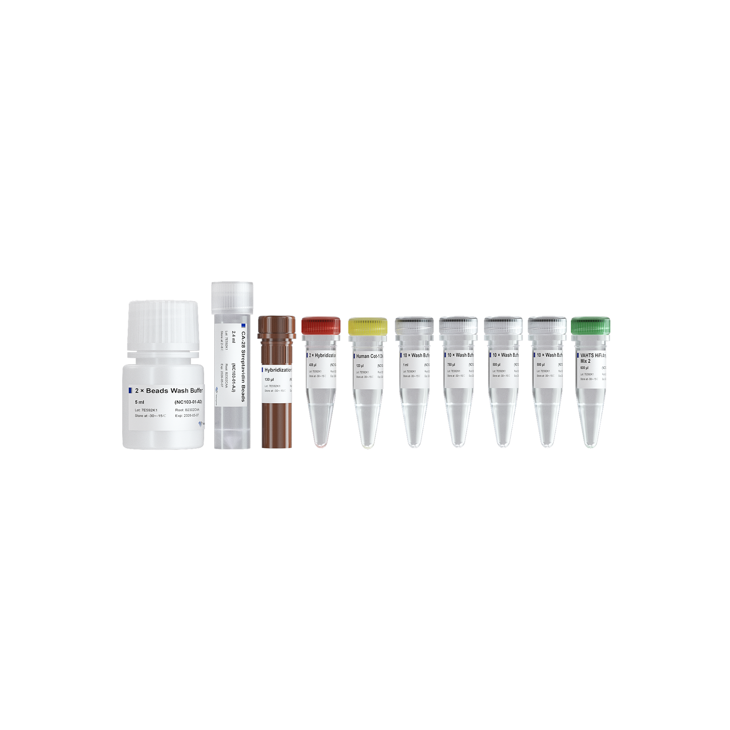 VAHTS Target Capture Hybridization and Wash Kit