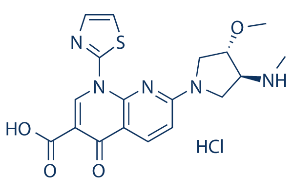 Voreloxin (SNS-595)hydrochloride