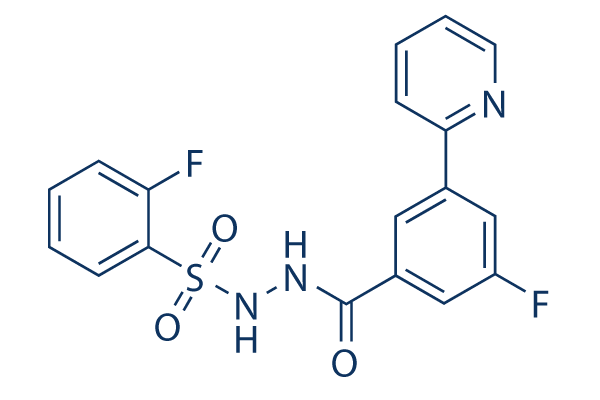 WM-1119