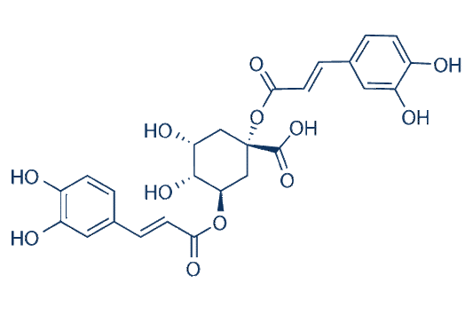 1,3-Dicaffeoylquinic acid