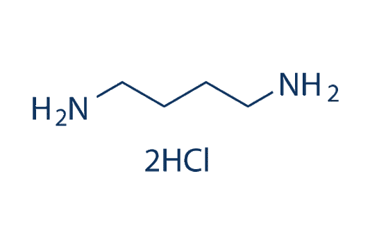 1,4-Diaminobutane dihydrochloride