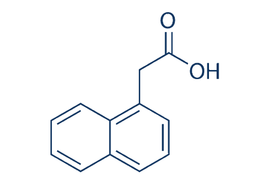 1-Naphthaleneacetic acid