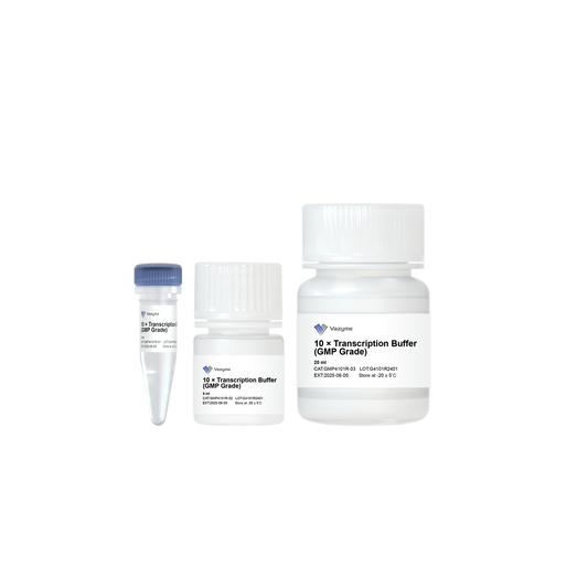 10 × Transcription Buffer (GMP Grade)