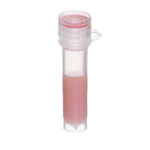 Anti-Chicken IgY (H+L) - 90nm Gold Conjugate