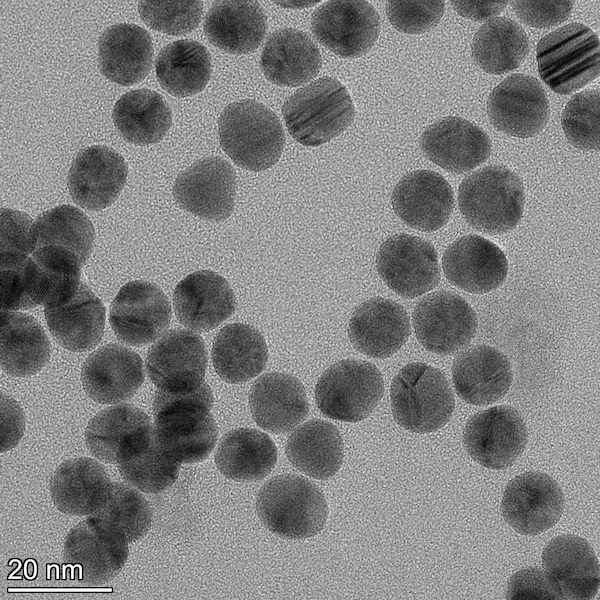 13nm Endotoxin Free Gold Nanoparticles