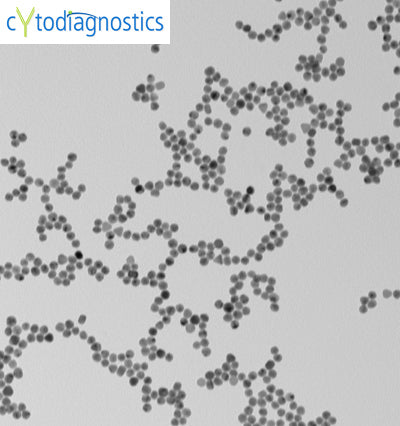 15nm Stabilized Gold Nanoparticles