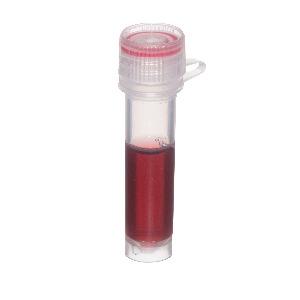 Anti-Chicken IgY (H+L) - 10nm Gold Conjugate