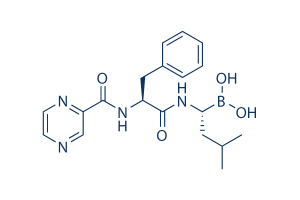 Bortezomib
