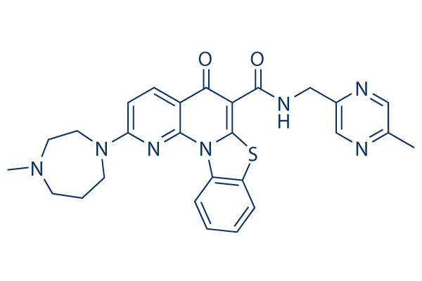 CX-5461 (Pidnarulex)
