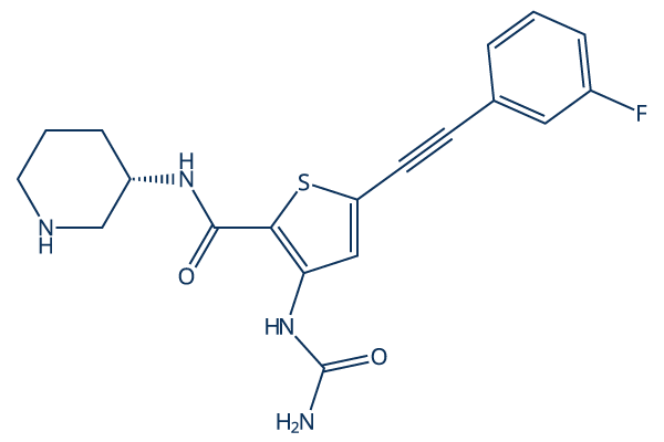 PHI-101