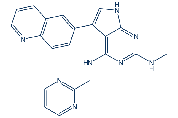 T025