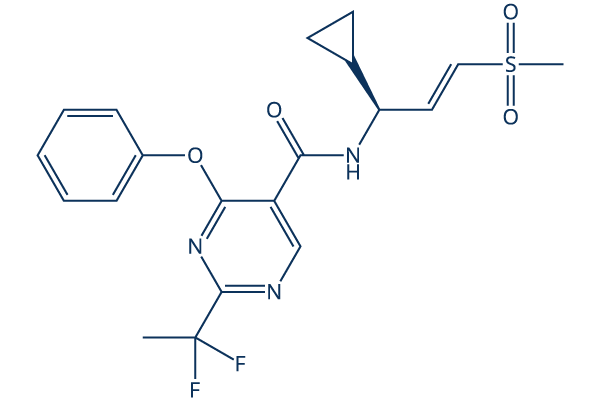 VVD-214 (VVD-133214, RO7589831)