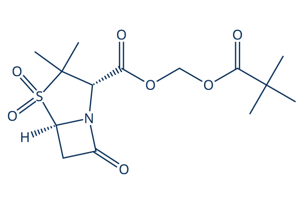 Sulbactam pivoxil
