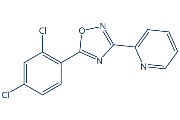 JY-2