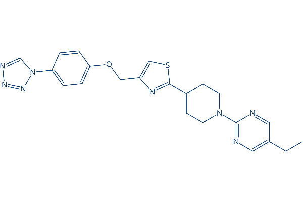 MBX-2982